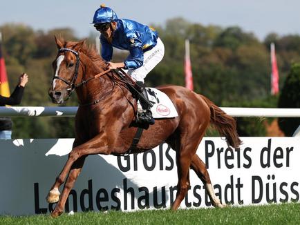 Daytona bärenstarker Vierter im Grand Prix du Nord (LR) in Chantilly